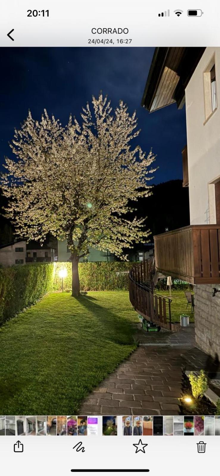 Casa Di Tea Leilighet Pieve di Cadore Eksteriør bilde